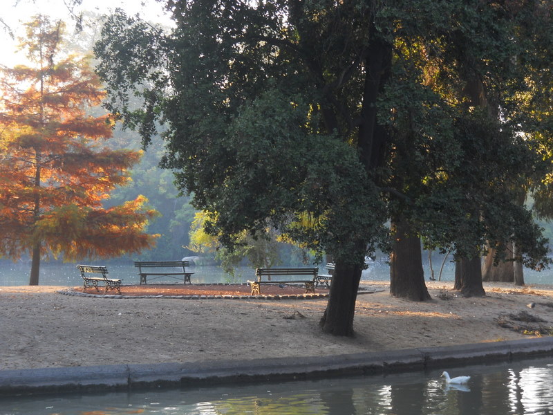 Foto: Parque Ohiggins - Santiago (Región Metropolitana), Chile