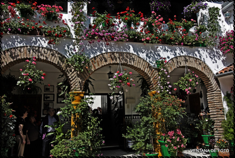 Foto: Patios - Córdoba (Andalucía), España