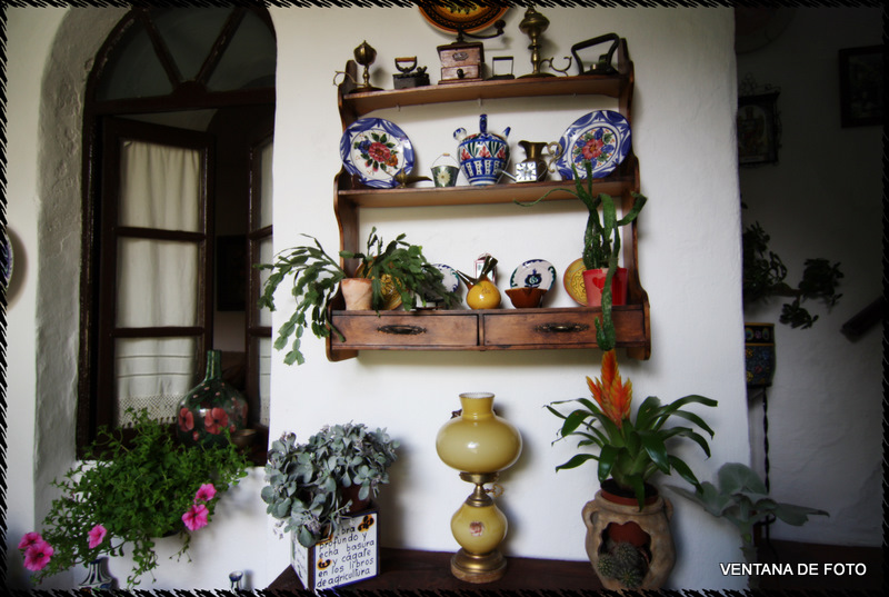 Foto: Patios - Córdoba (Andalucía), España