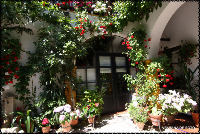 Foto: Patios - Córdoba (Andalucía), España