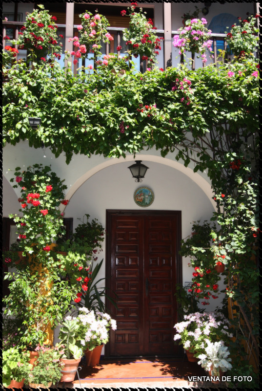 Foto: Patios - Córdoba (Andalucía), España