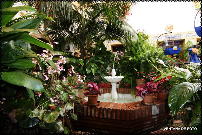 Foto: Patios - Córdoba (Andalucía), España