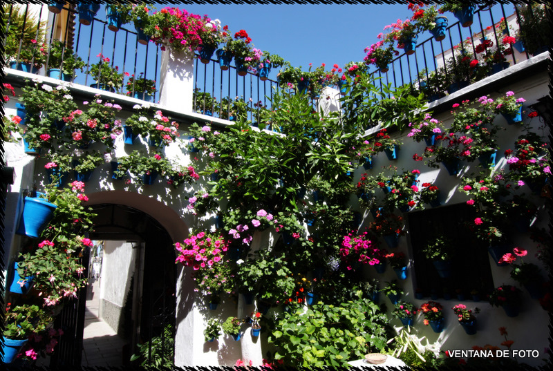 Foto: Patios - Córdoba (Andalucía), España