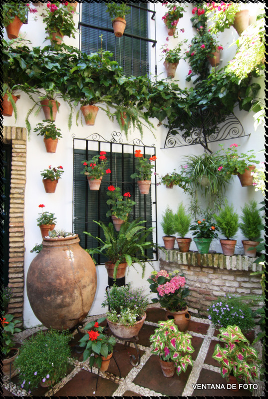 Foto: Patios - Córdoba (Andalucía), España