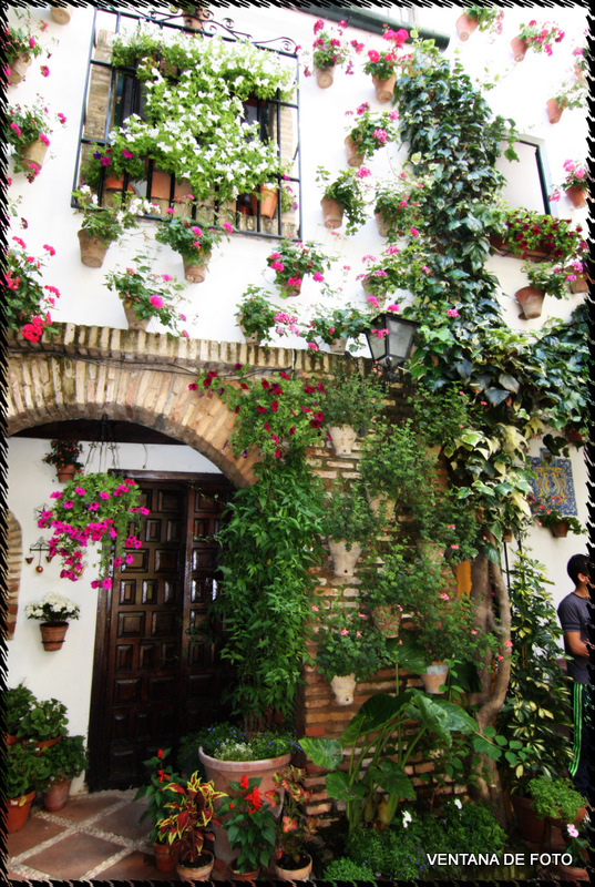 Foto: Patios - Córdoba (Andalucía), España