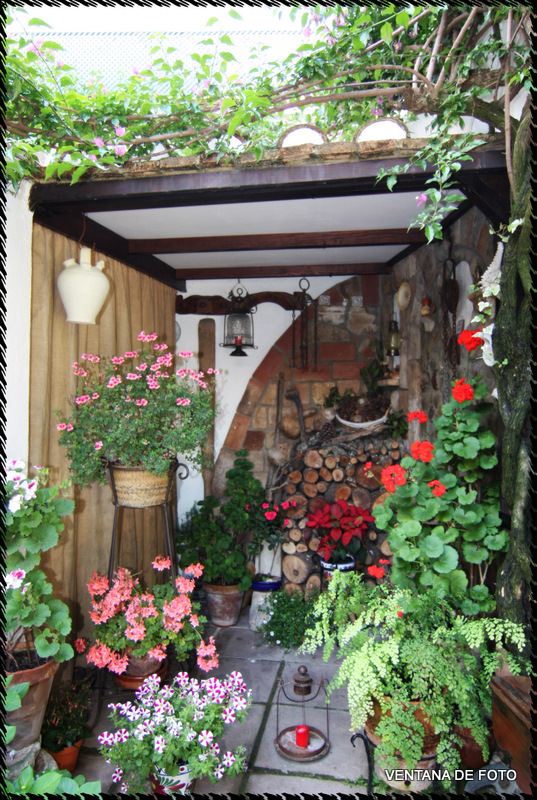 Foto: Patios - Córdoba (Andalucía), España
