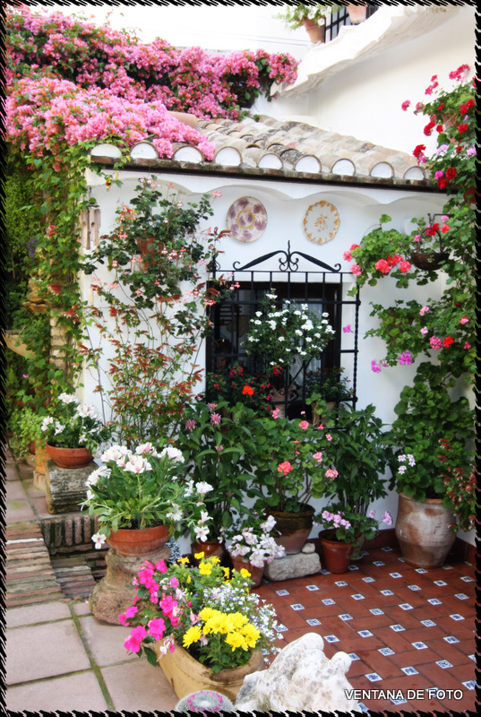 Foto: Patios - Córdoba (Andalucía), España