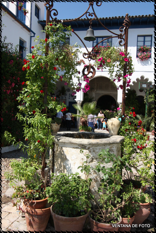Foto: Patios - Córdoba (Andalucía), España