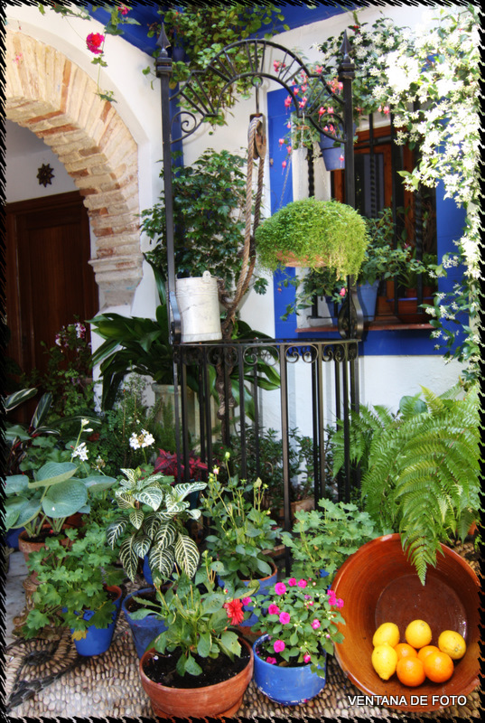Foto: Patios - Córdoba (Andalucía), España