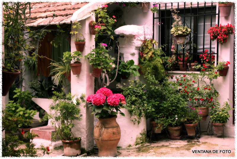 Foto: Patios - Córdoba (Andalucía), España