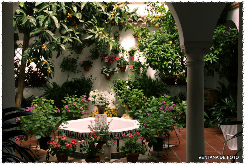 Foto: Patios - Córdoba (Andalucía), España