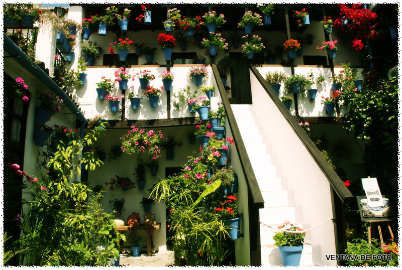 Foto: Patios - Córdoba (Andalucía), España