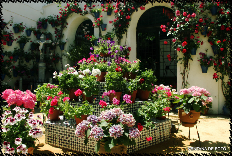 Foto: Patios - Córdoba (Andalucía), España