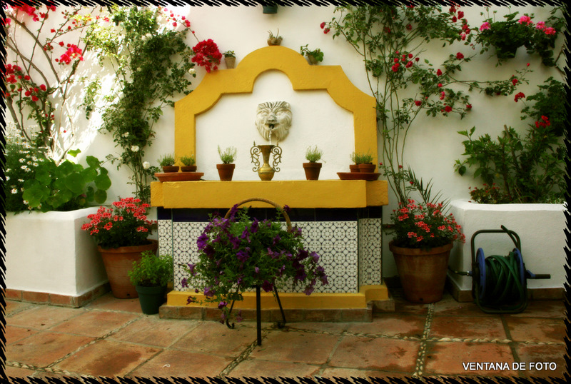 Foto: Patios - Córdoba (Andalucía), España