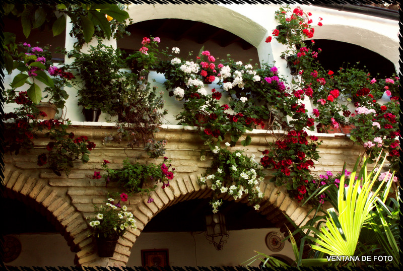 Foto: Patios - Córdoba (Andalucía), España
