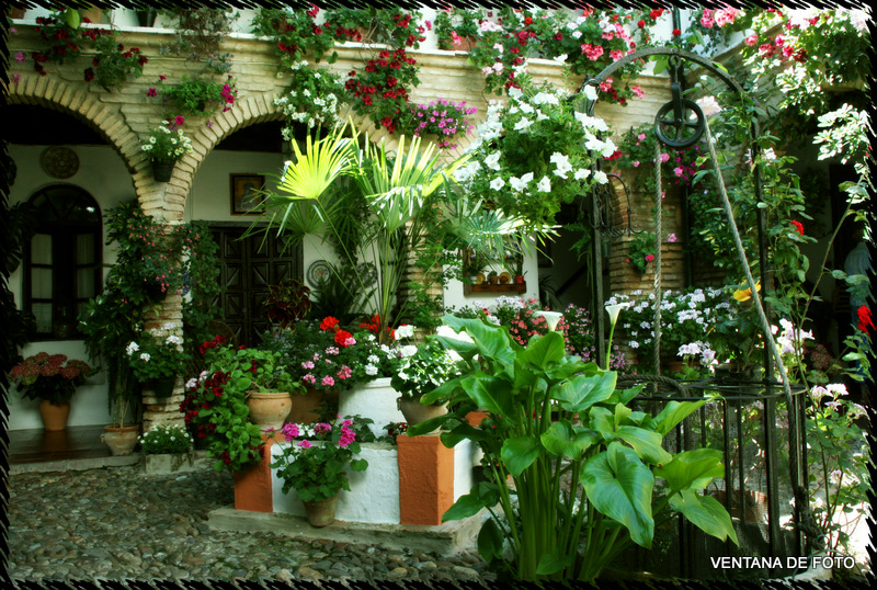 Foto: Patios - Córdoba (Andalucía), España