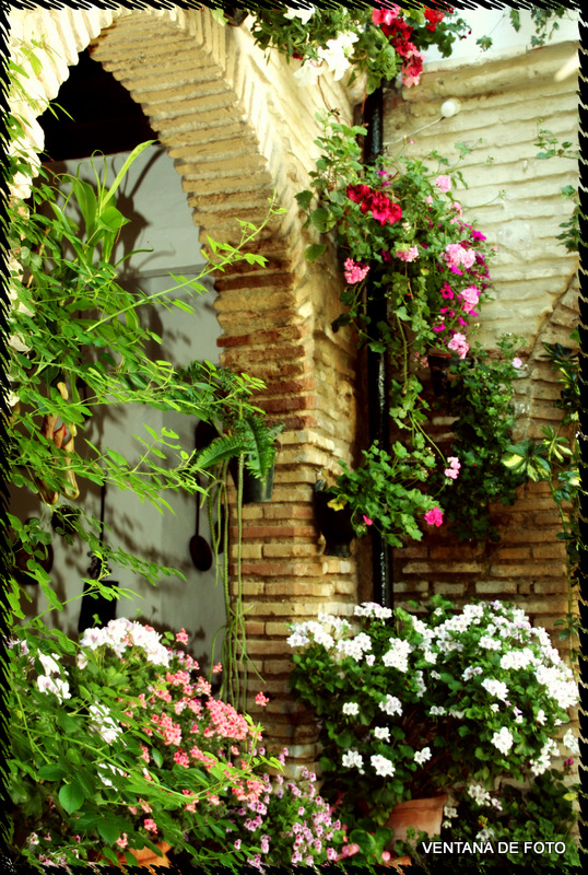 Foto: Patios - Córdoba (Andalucía), España