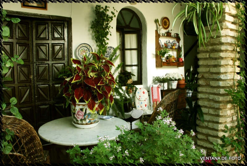 Foto: Patios - Córdoba (Andalucía), España
