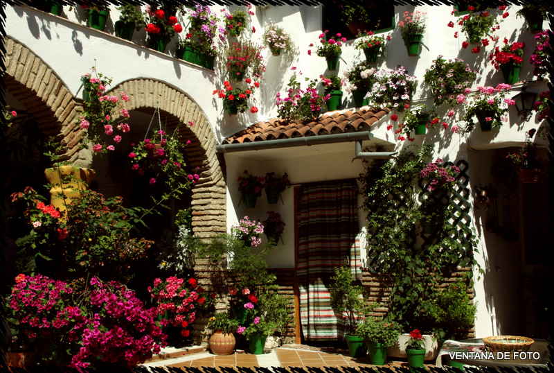 Foto: Patios - Córdoba (Andalucía), España