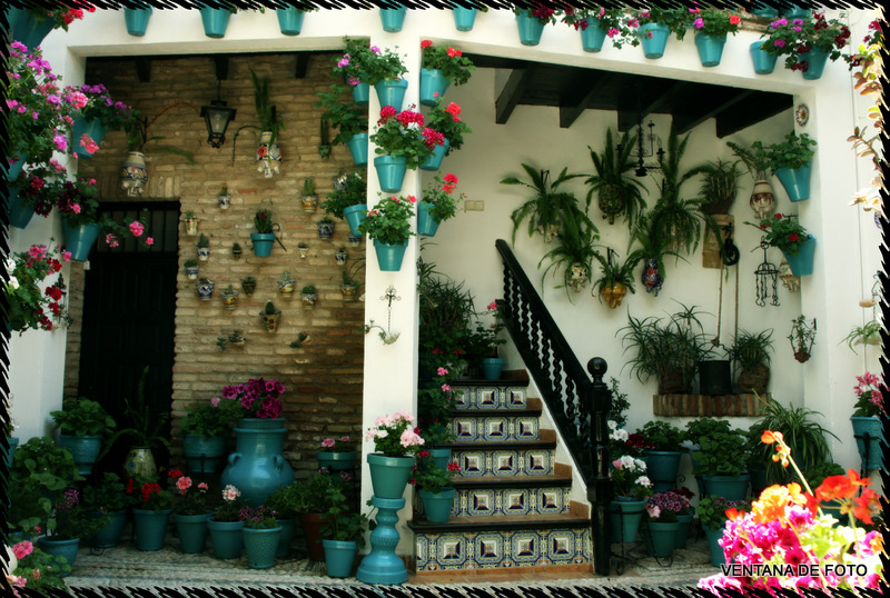 Foto: Patios - Córdoba (Andalucía), España