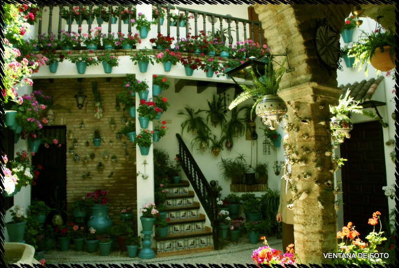 Foto: Patios - Córdoba (Andalucía), España