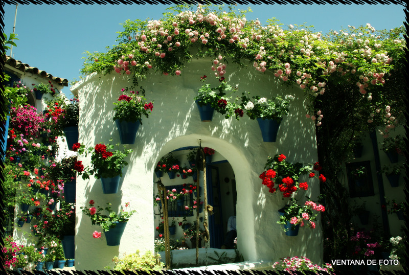 Foto: Patios - Córdoba (Andalucía), España