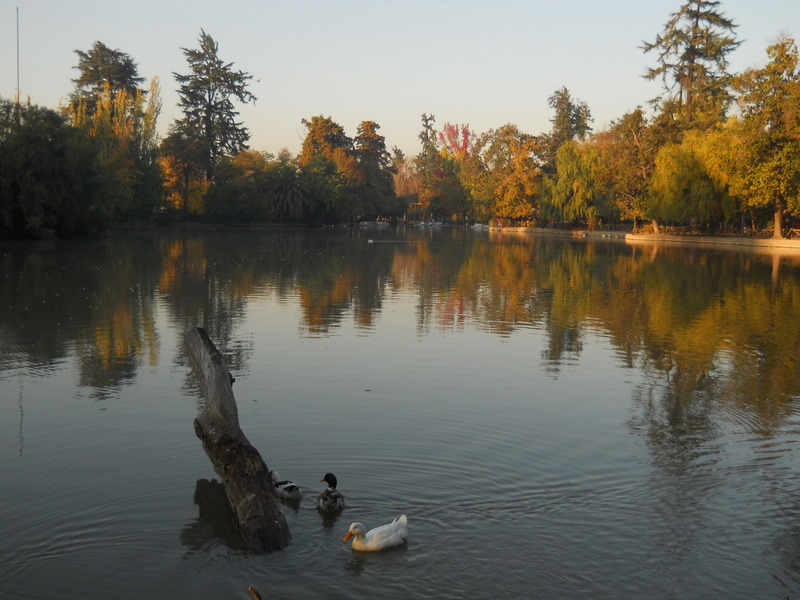 Foto: Parque Ohiggins - Santiago (Región Metropolitana), Chile