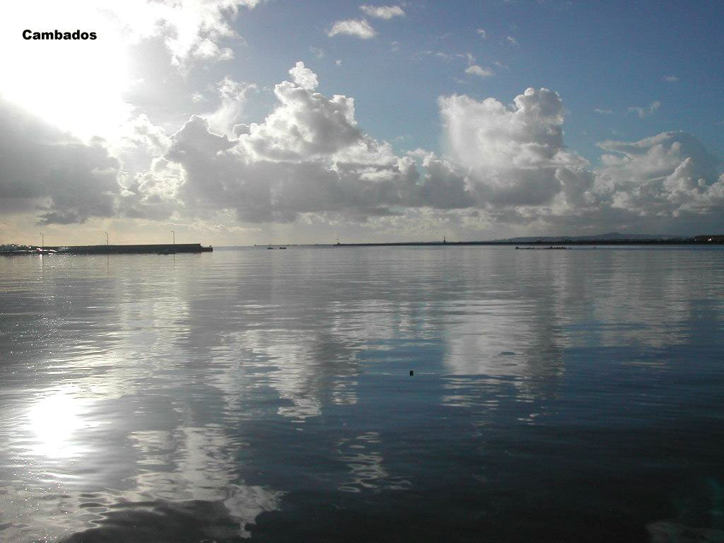 Foto de Cambados (Pontevedra), España