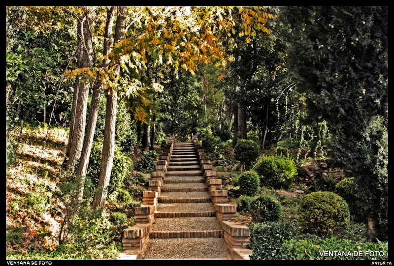 Foto: Jardines De La Alahambra - Granada (Andalucía), España