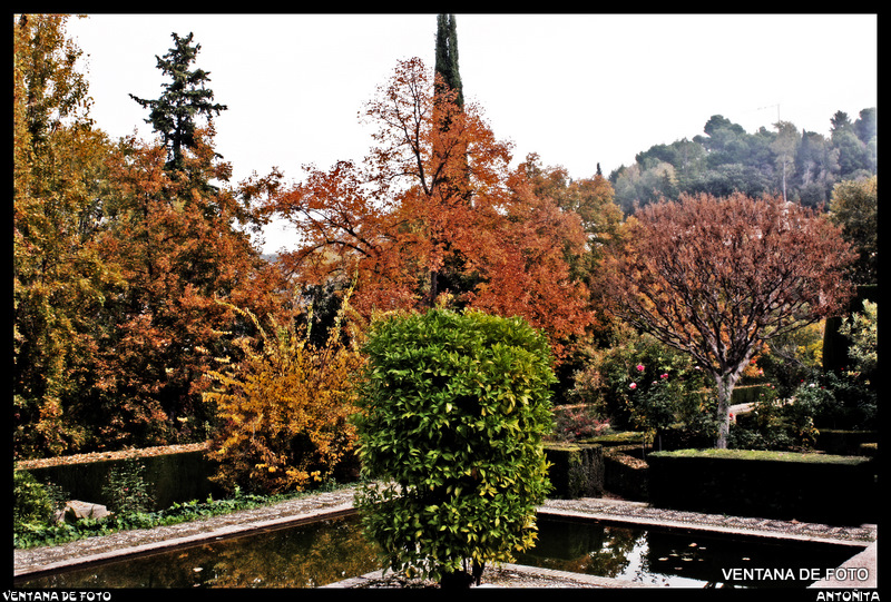 Foto: Jardines De La Alhambra - Granada (Andalucía), España