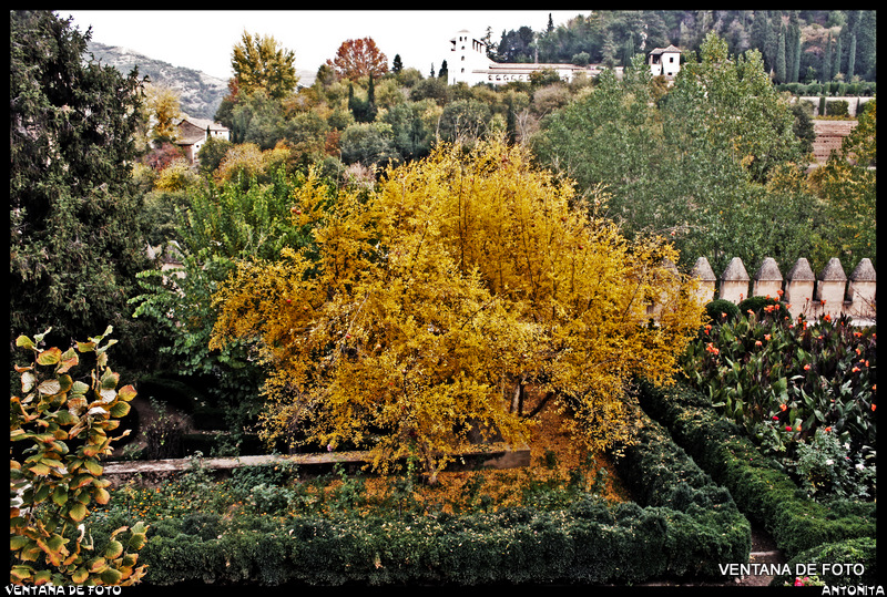 Foto: Jardines De La Alhambra - Granada (Andalucía), España
