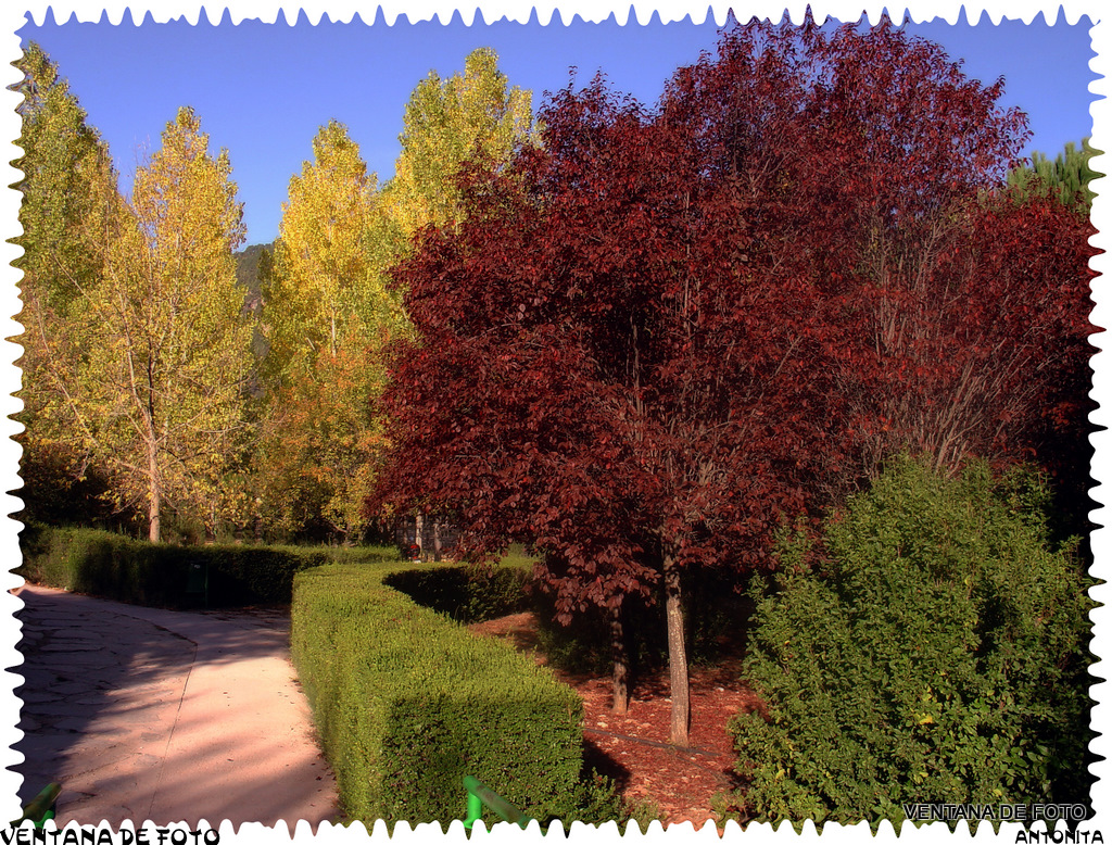 Foto: Sierra De Cazorla - Cazorla (Jaén), España