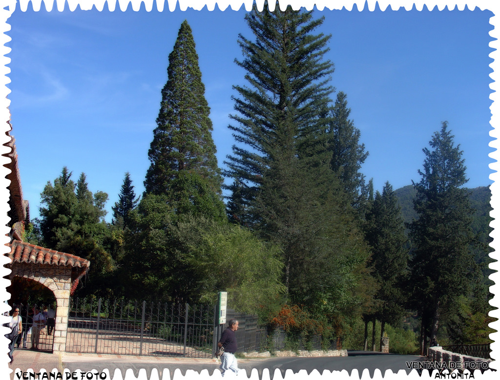 Foto: Sierra De Cazorla (JAÉN) - Cazorla, España