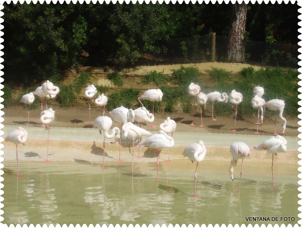 Foto: Zoológico (JEREZ) - Jerez (Cádiz), España