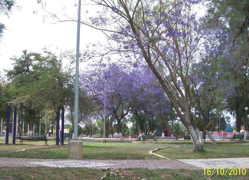 Foto: Pirané Formosa, Argentina - Pirané Formosa (Formosa), Argentina