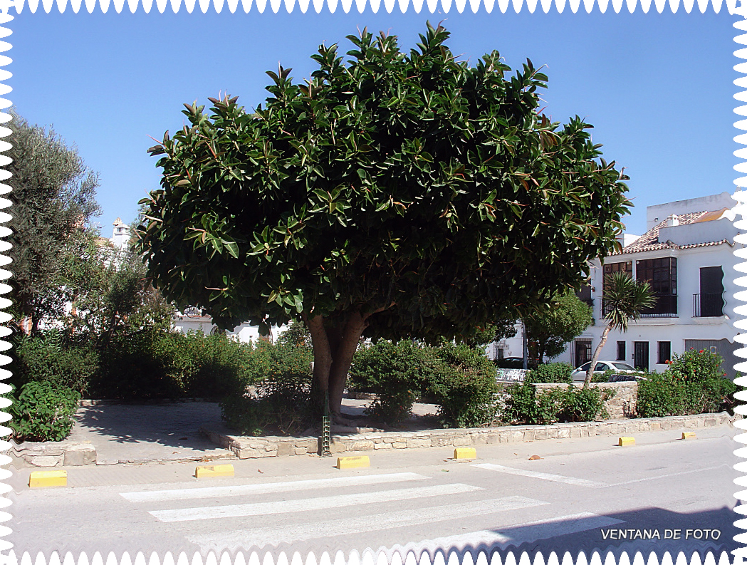 Foto de Zahara De Los Atunes (Cádiz), España