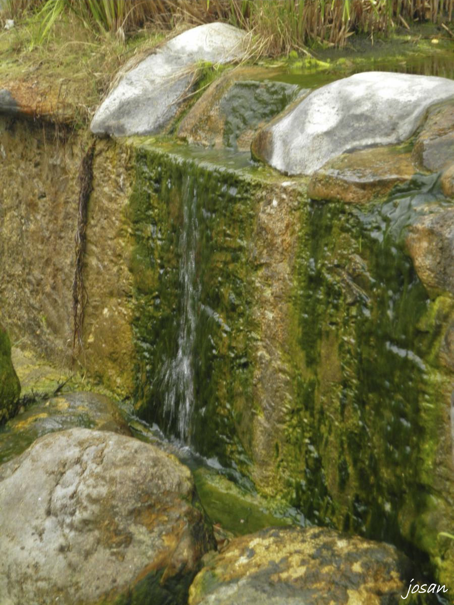 Foto: pueblo canario y parque doramas - Las Palmas De Gran Canarias (Las Palmas), España