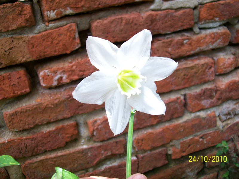 Foto: Pirané Formosa, Argentina - Pirané Formosa (Formosa), Argentina