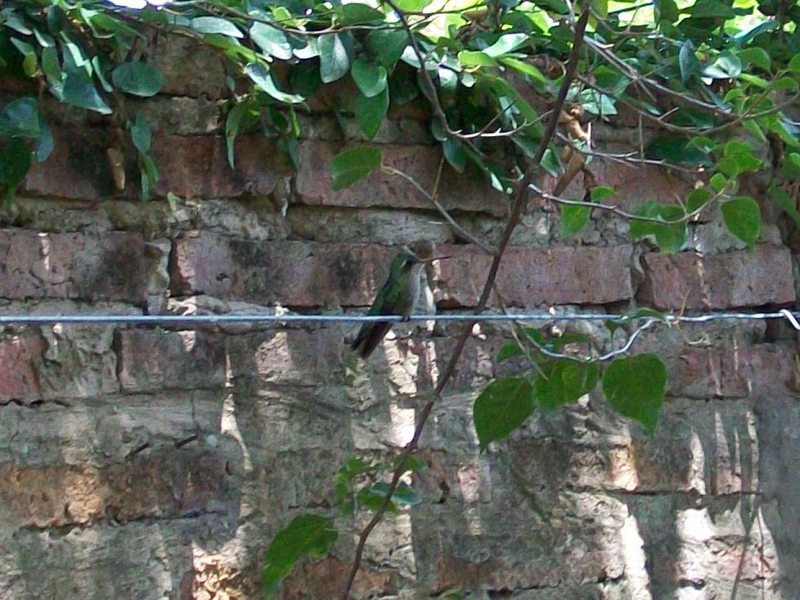 Foto: Pirané Formosa, Argentina - Pirané Formosa (Formosa), Argentina