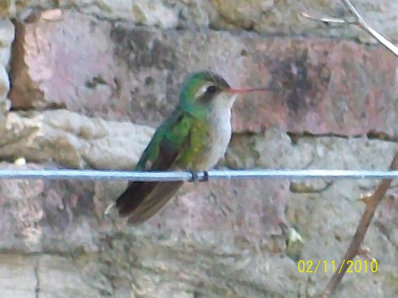 Foto: Pirané Formosa, Argentina - Pirané Formosa (Formosa), Argentina