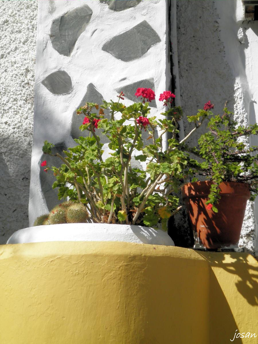 Foto: visitando valsequillo - Tenteniguada (Valsequillo) (Las Palmas), España