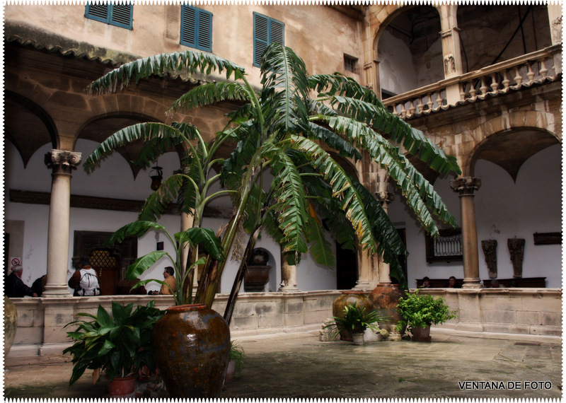 Foto: CATEDRAL (PATIO) - Palma De Mallorca (Illes Balears), España