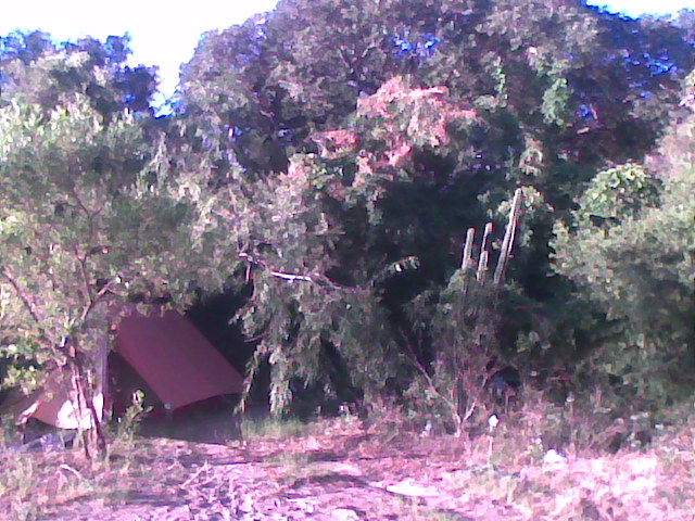 Foto: mucha paz... - Agraciada (Soriano), Uruguay