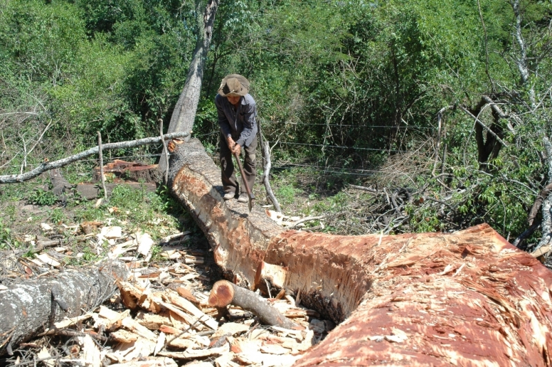 Foto: Pirané Formosa, Argentina - Pirané (Formosa), Argentina