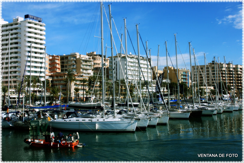 Foto: PUERTO - Palma De Mallorca (Illes Balears), España