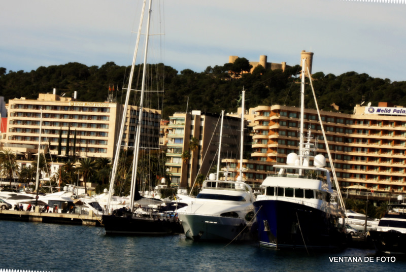 Foto: PUERTO - Palma De Mallorca (Illes Balears), España