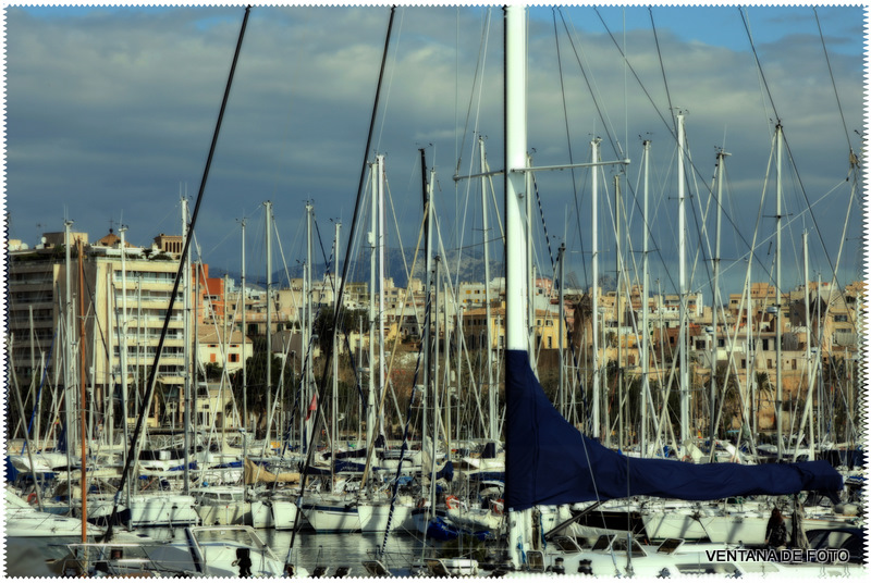 Foto: PUERTO - Palma De Mallorca (Illes Balears), España