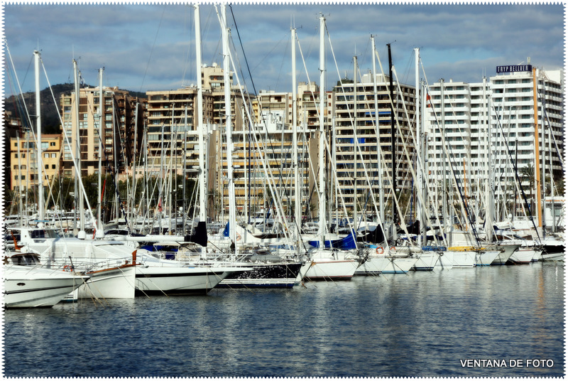 Foto: PUERTO - Palma De Mallorca (Illes Balears), España