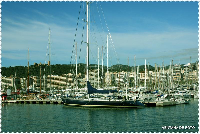 Foto: BAHIA DE PALMA DE MALLORCA - Palma De Mallorca (Illes Balears), España