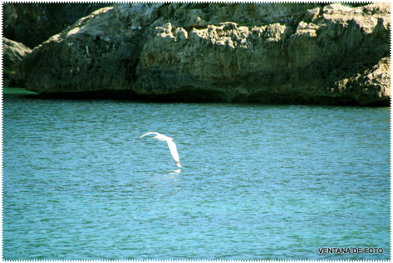 Foto: BAHIA DE PALMA DE MALLORCA - Palma De Mallorca (Illes Balears), España
